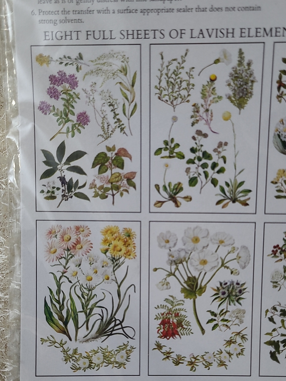 NEW IOD Iron Orchid Designs Transfer Sarah Featon's Botanicals 8 Sheets 8" x 12" - Picture 4 of 9